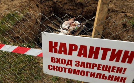 Обновленный чек-лист по биоотходам и использованию скотомогильников вступил в силу с 25 марта
